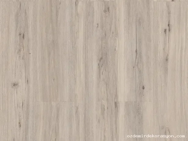 ÇAMSAN Kristal Meşe - 645