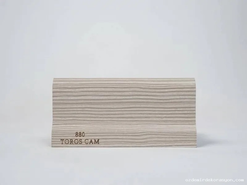 880 - Toros Cam